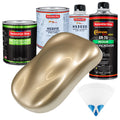 Driftwood Beige Metallic - LOW VOC Urethane Basecoat with Premium Clearcoat Auto Paint - Complete Medium Quart Paint Kit - Pro Automotive Coating