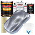 Cool Gray Metallic Urethane Basecoat with European Clearcoat Auto Paint - Complete Gallon Paint Color Kit - Automotive Refinish Coating